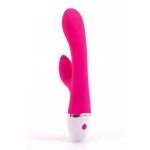 Lovetoy Dreamer Vibrator Rose Red