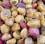 MACA